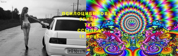 кокс Алзамай