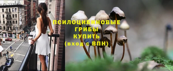 кокс Алзамай