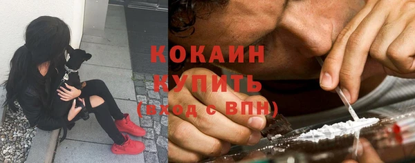 кокс Алзамай