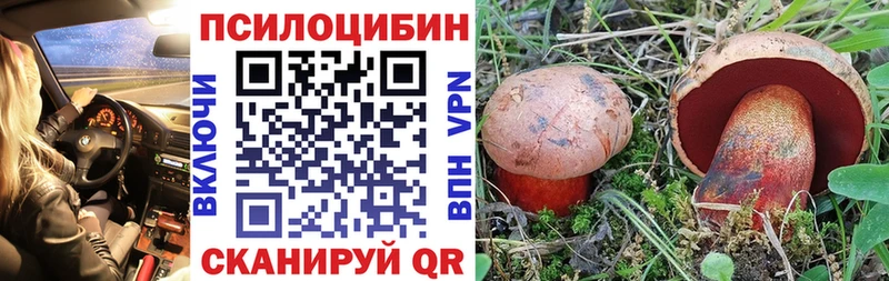 где купить наркоту Ликино-Дулёво Псилоцибиновые грибы MAGIC MUSHROOMS